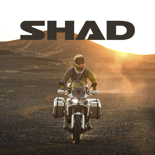 Shad