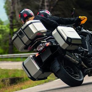 Valises par paire