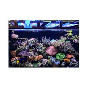 product/a/q/aquavie_av5000_black_2.jpg
